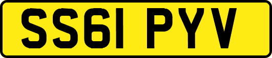 SS61PYV