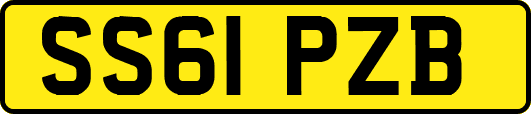 SS61PZB