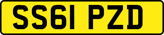 SS61PZD