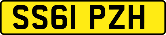 SS61PZH