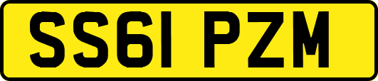 SS61PZM