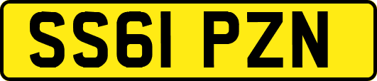 SS61PZN
