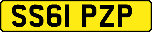 SS61PZP