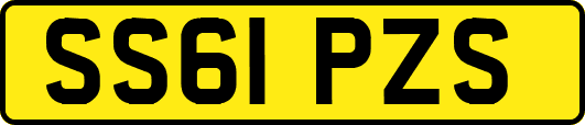 SS61PZS