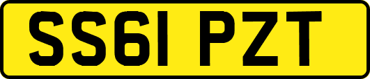 SS61PZT