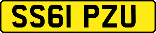 SS61PZU