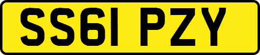 SS61PZY