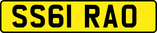 SS61RAO