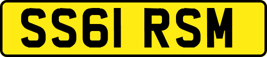 SS61RSM