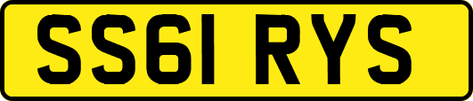 SS61RYS