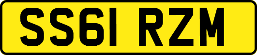 SS61RZM