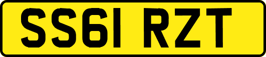 SS61RZT