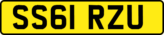 SS61RZU