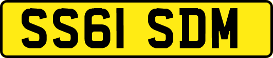 SS61SDM