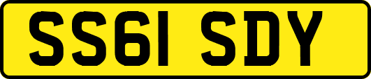 SS61SDY