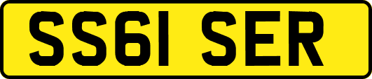 SS61SER