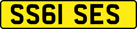 SS61SES