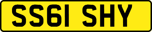 SS61SHY
