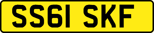 SS61SKF