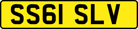 SS61SLV