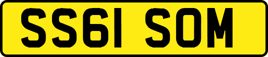 SS61SOM
