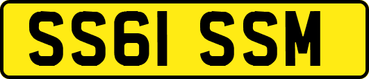 SS61SSM