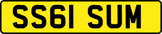 SS61SUM