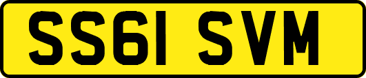SS61SVM