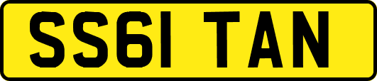 SS61TAN