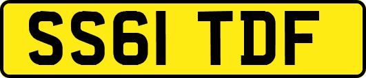SS61TDF
