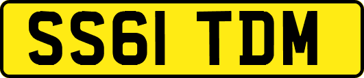 SS61TDM