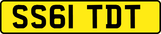 SS61TDT