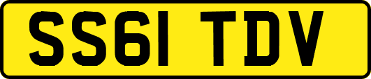 SS61TDV