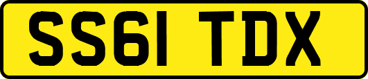 SS61TDX