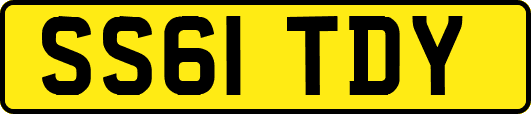 SS61TDY
