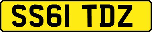 SS61TDZ