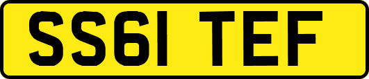 SS61TEF