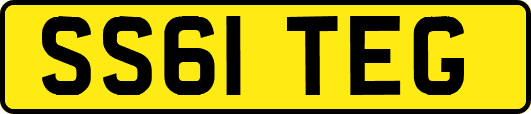 SS61TEG