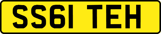 SS61TEH