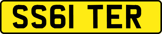 SS61TER