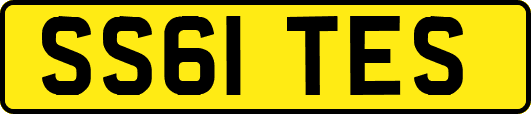 SS61TES