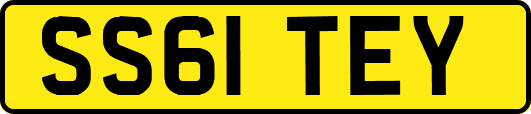 SS61TEY