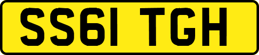 SS61TGH