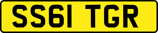 SS61TGR