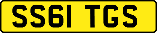SS61TGS