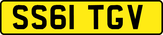 SS61TGV