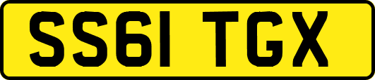 SS61TGX