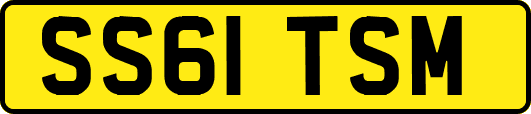 SS61TSM