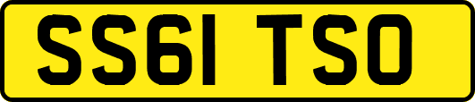 SS61TSO