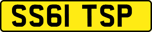 SS61TSP